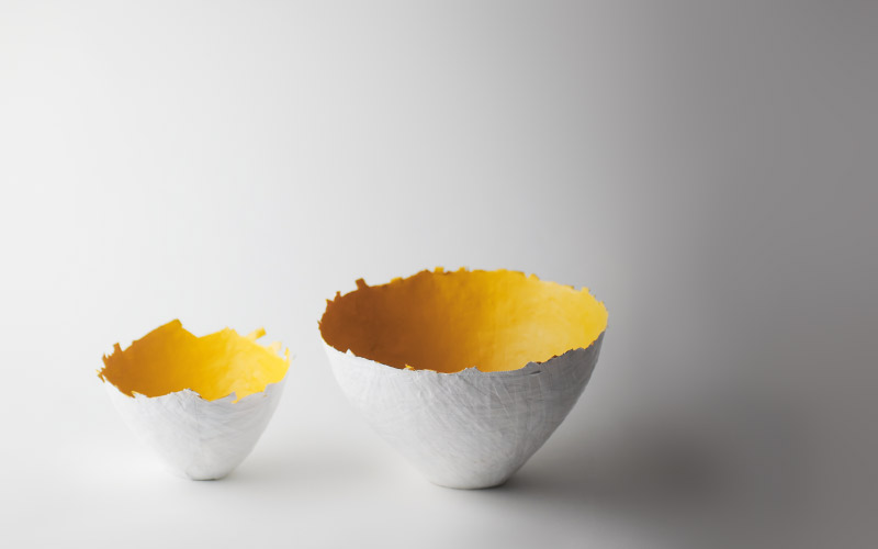 Photo of yellow color burst bowl